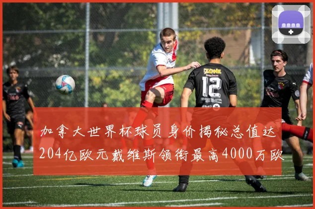 加拿大世界杯球员身价揭秘总值达204亿欧元戴维斯领衔最高4000万欧