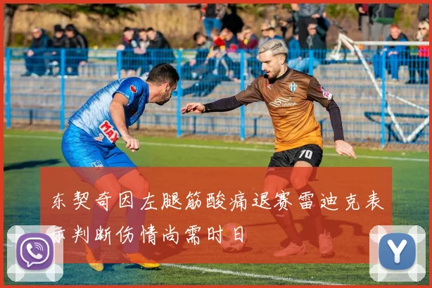 东契奇因左腿筋酸痛退赛雷迪克表示判断伤情尚需时日