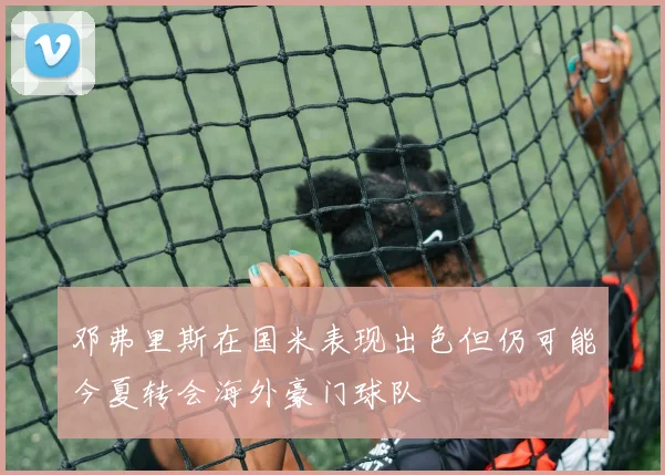 邓弗里斯在国米表现出色但仍可能今夏转会海外豪门球队
